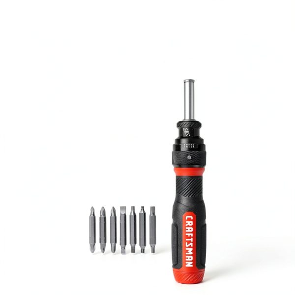 CRAFTSMAN Ratcheting Screwdriver, SpeedDrive, 2” Double Ended Bits Included, Handle Holds Up To 6 Bits (CMHT68129)-1
