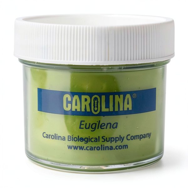 Euglena Culture Kit, Biflagellated Cells, 30 Student Kit, Carolina-1