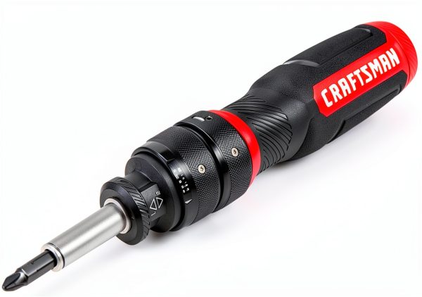 CRAFTSMAN Ratcheting Screwdriver, SpeedDrive, 2” Double Ended Bits Included, Handle Holds Up To 6 Bits (CMHT68129)-4